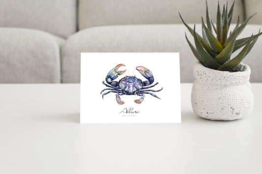 Allure South Sea Pearls 2019 Christmas Card
