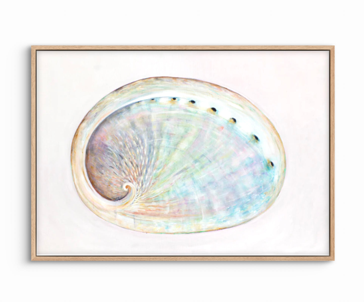 ABALONE SHELL