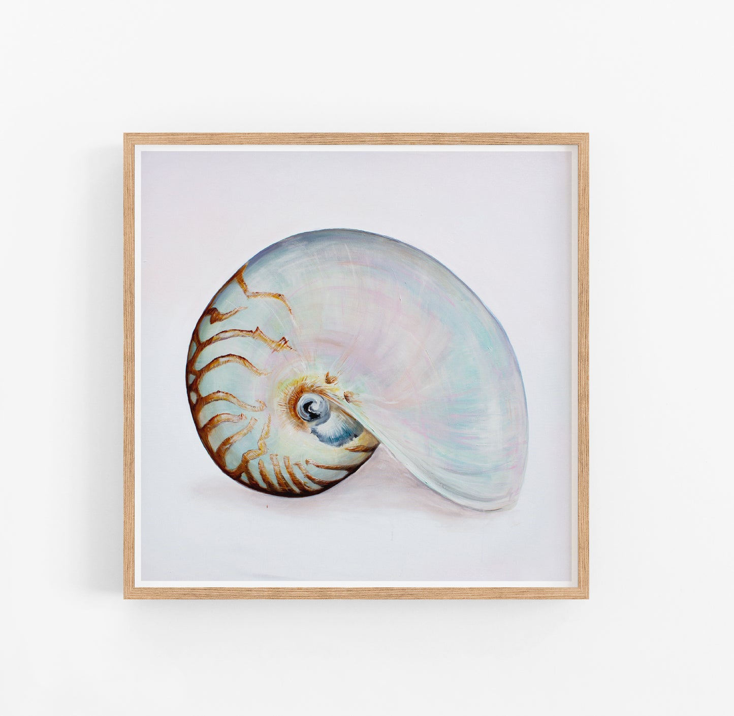 Nautilus