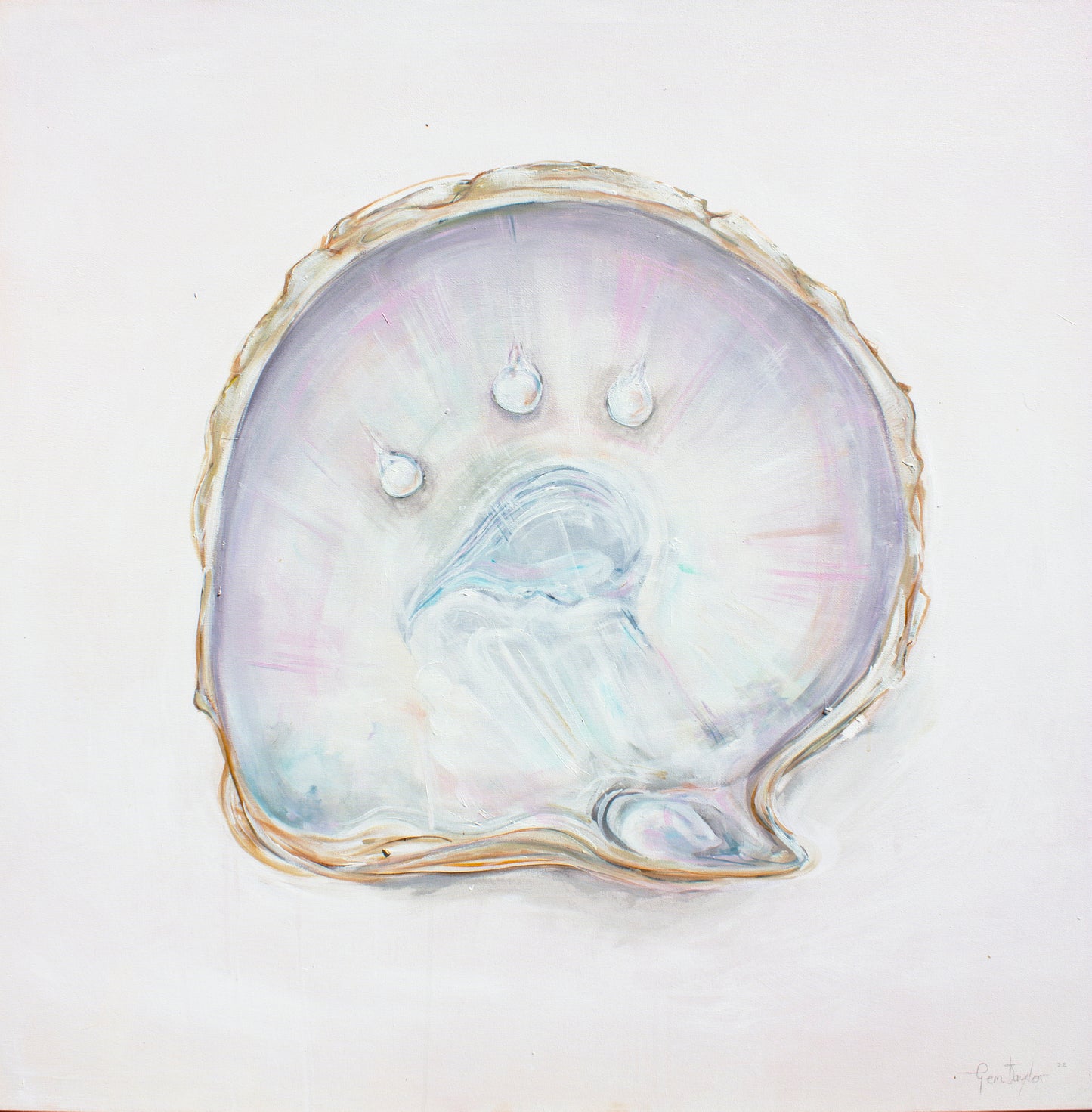 Pinctada Maxima (Pearl Shell)