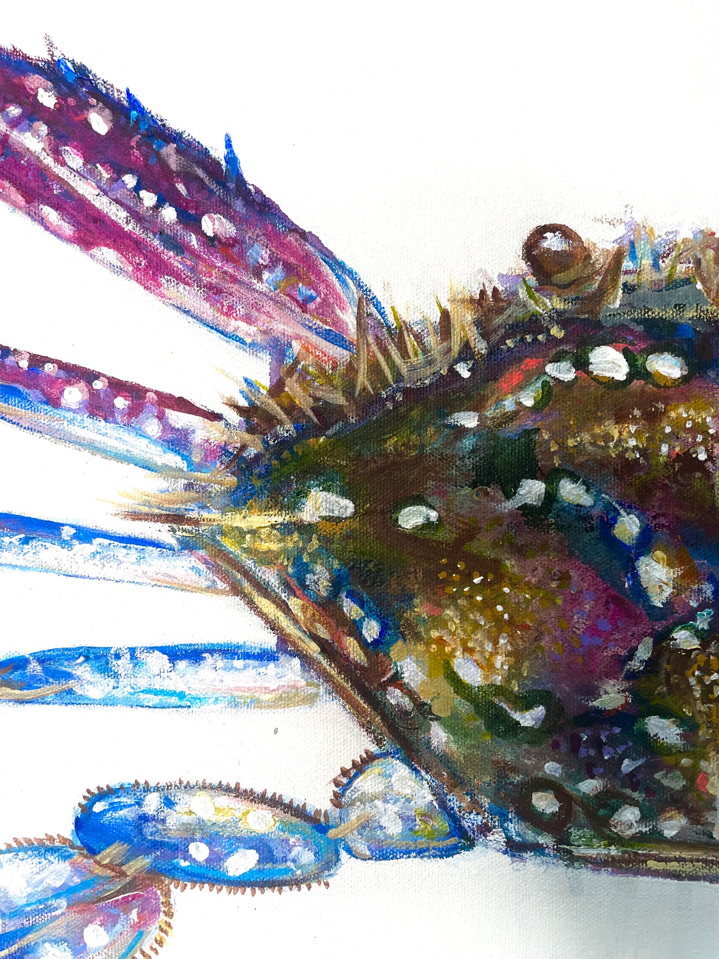 Blue Swimmer