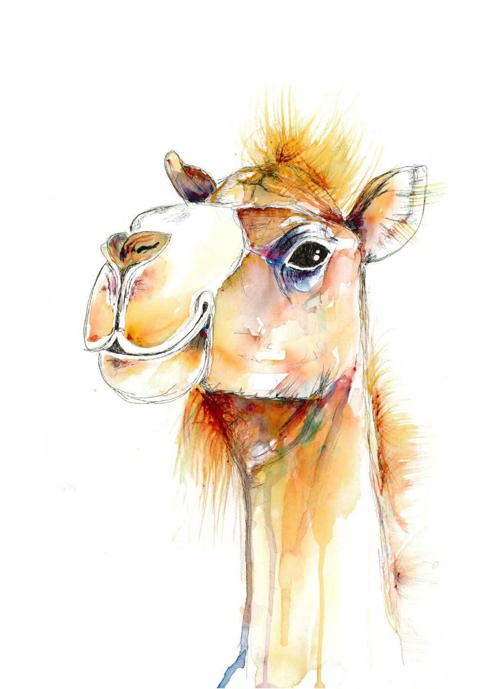 Happy Camel