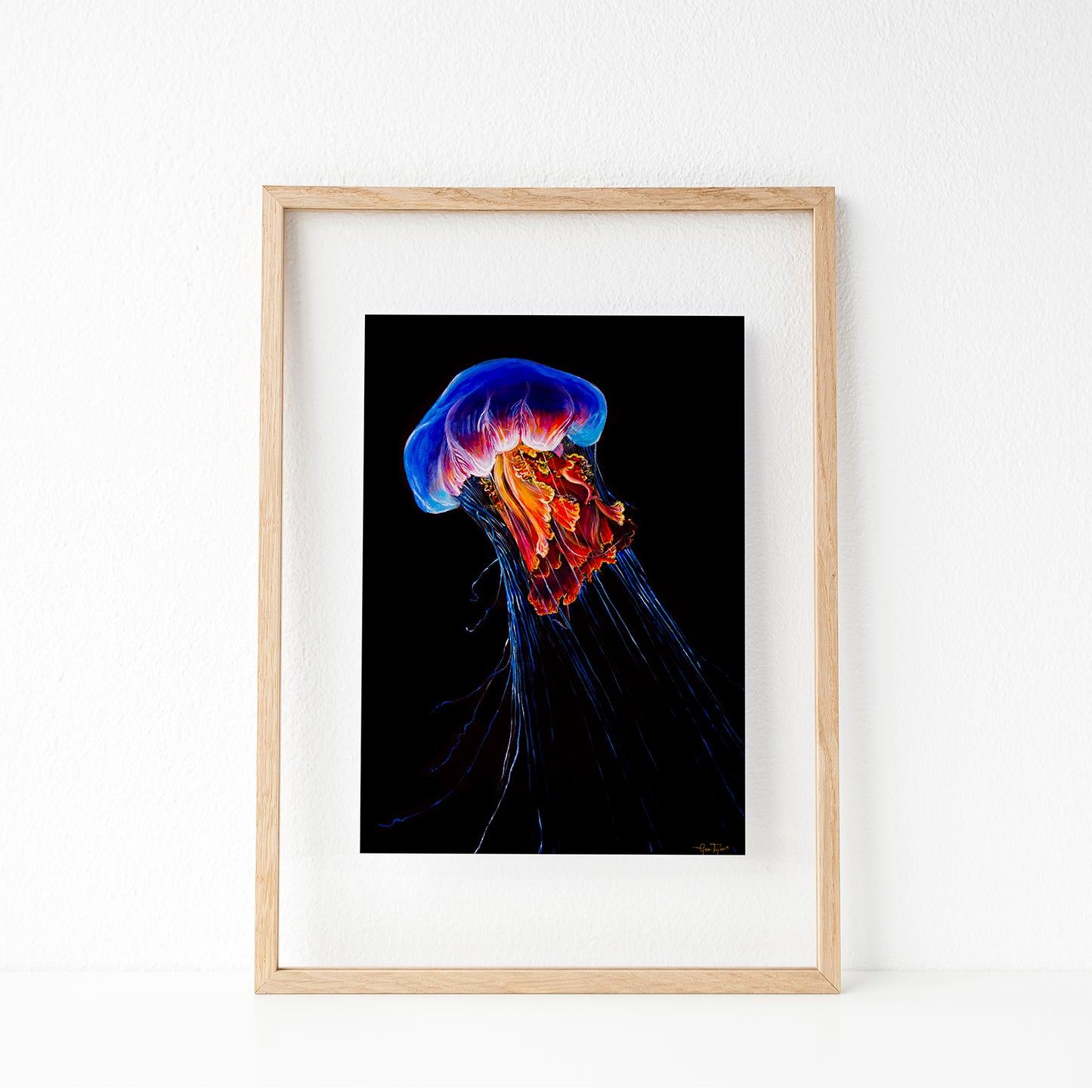 Jellyfish (1/25 Limited Edition)