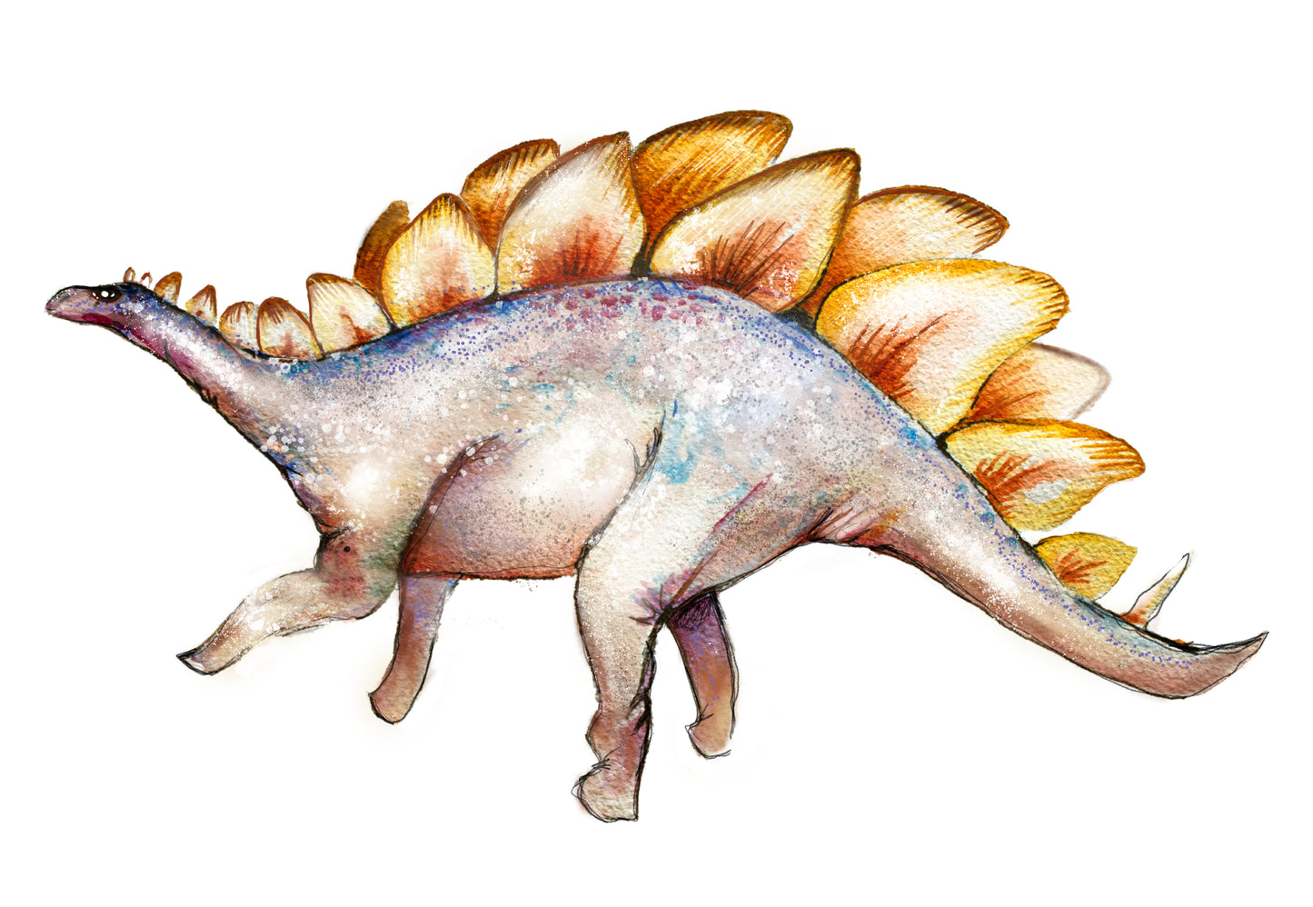 Stegosaurus