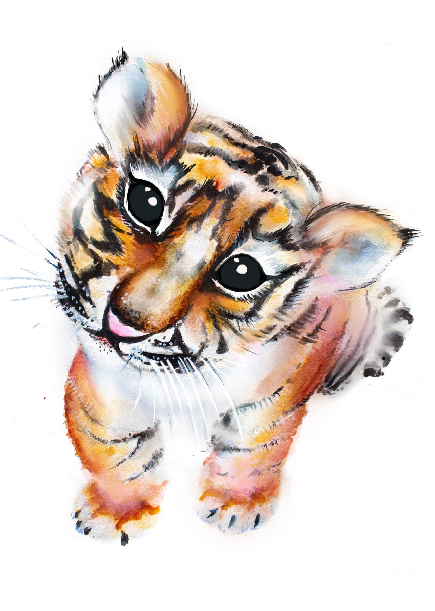 Little Tiger