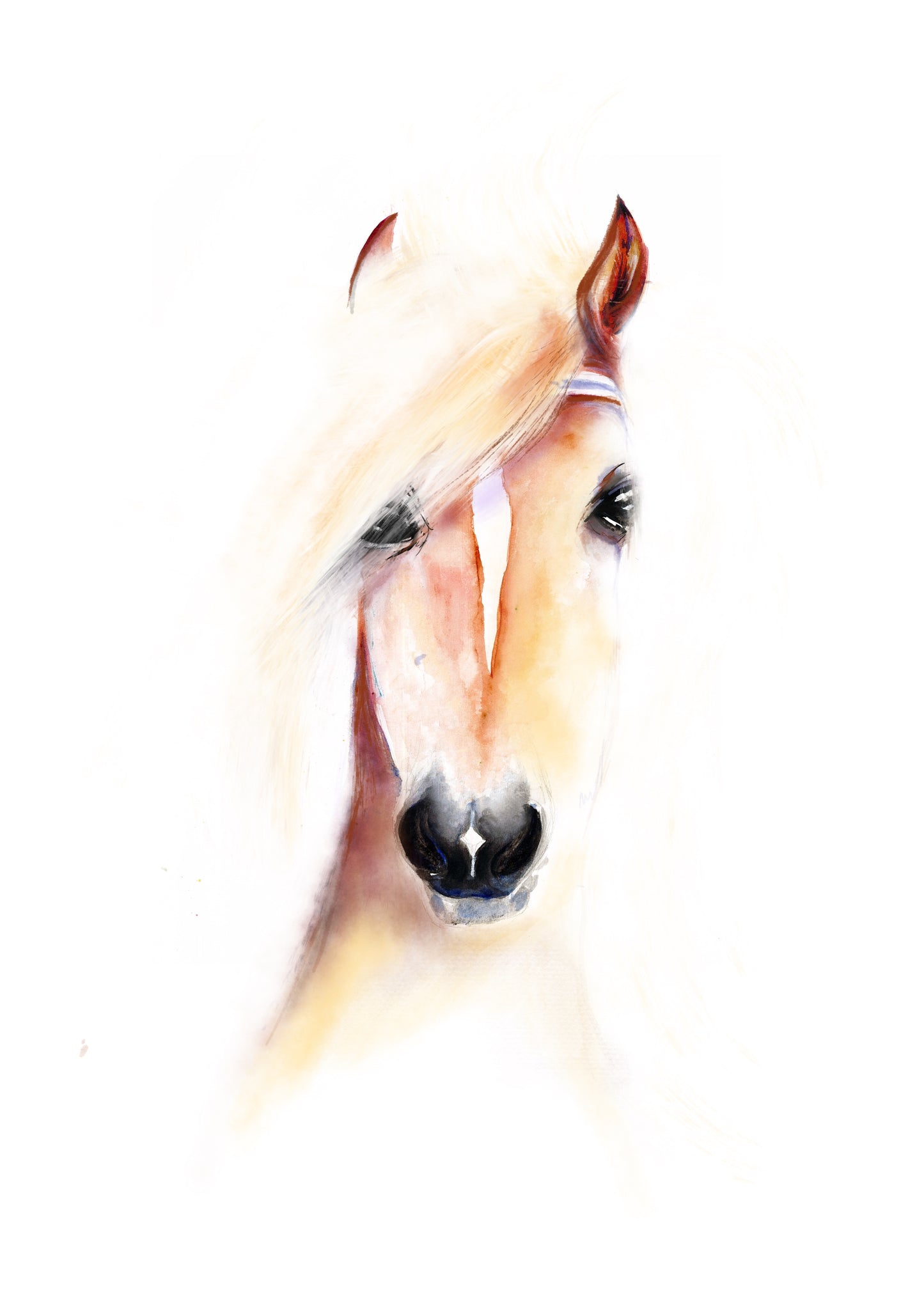 Little Pony
