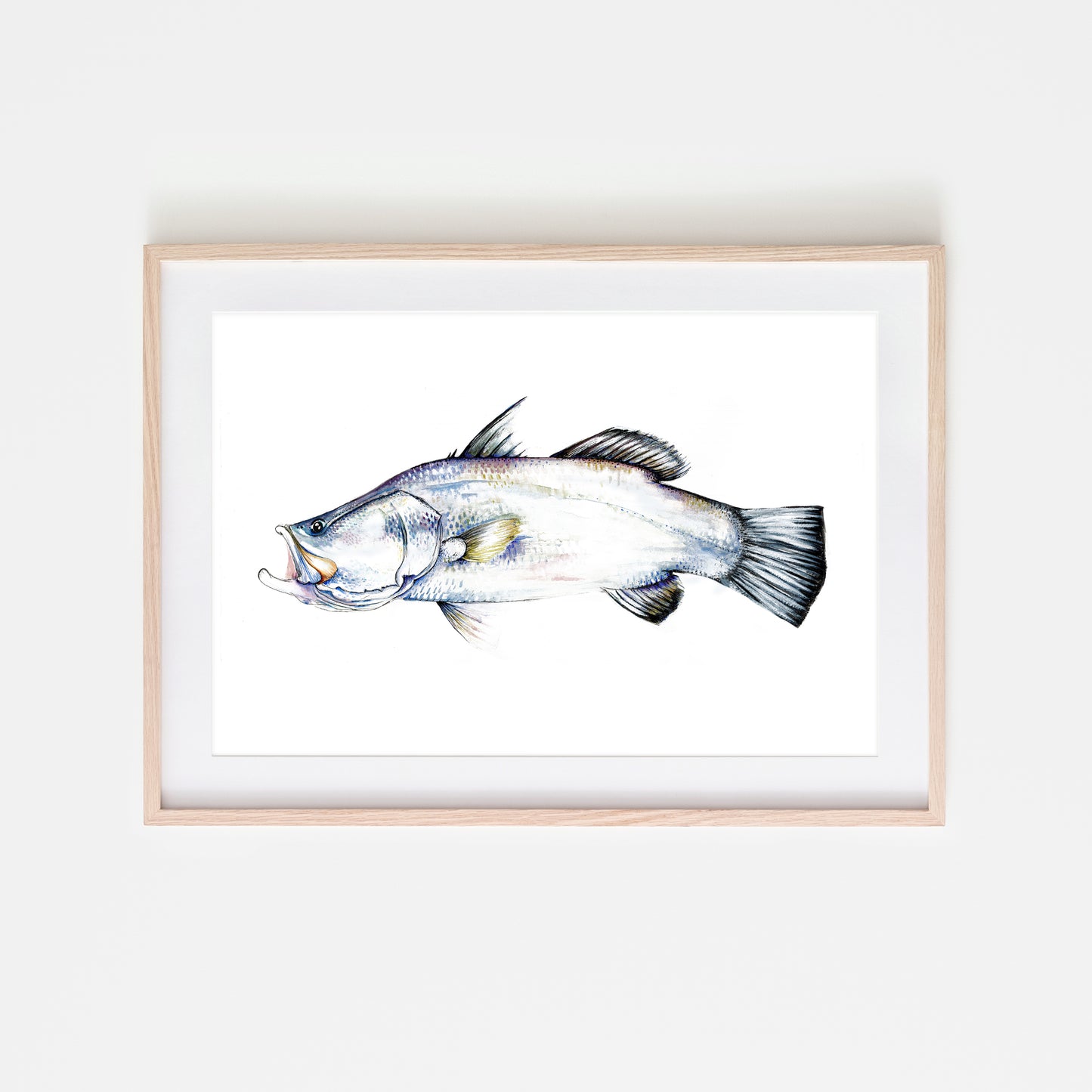 Silver Barra
