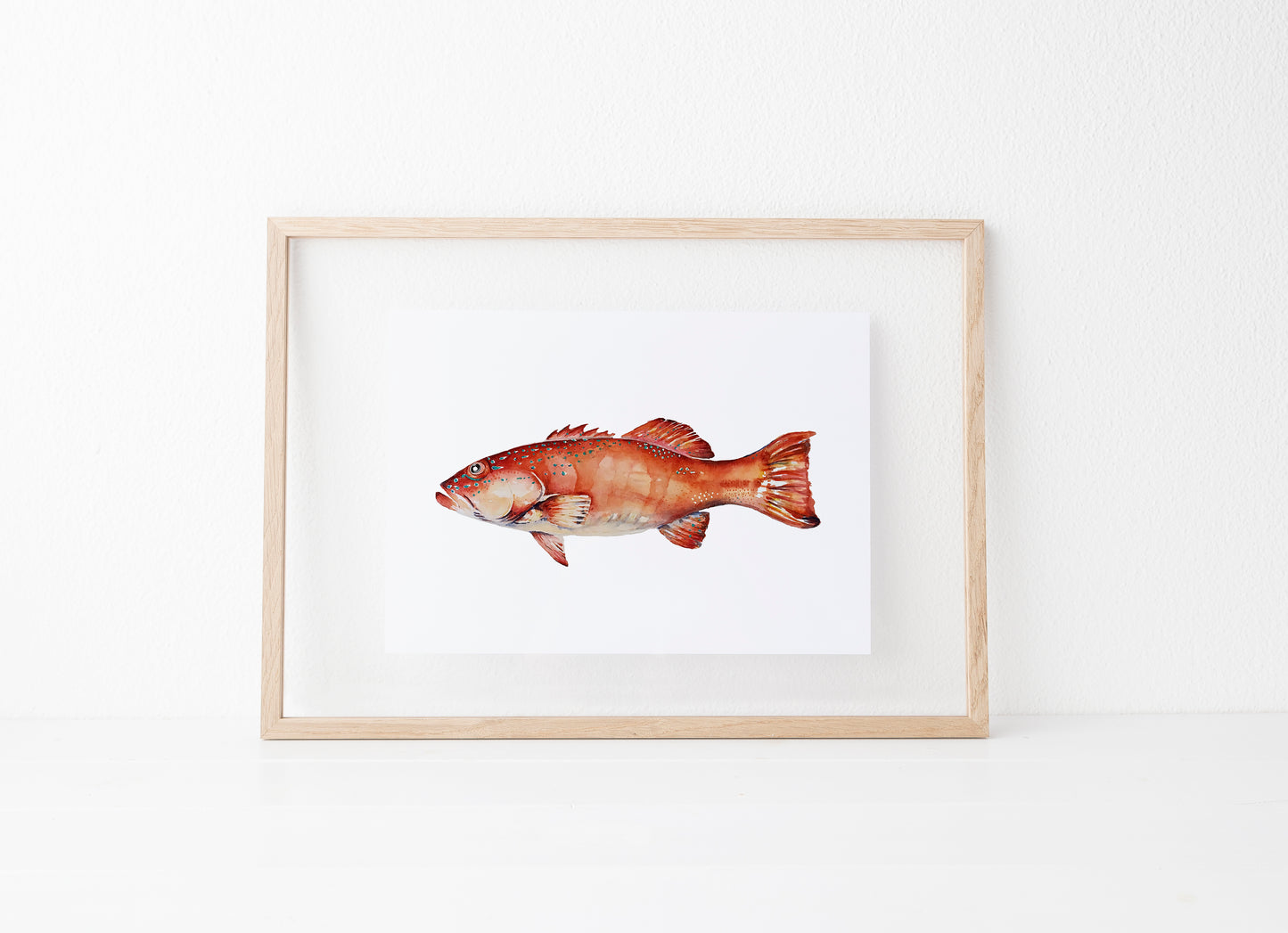 Coral Trout