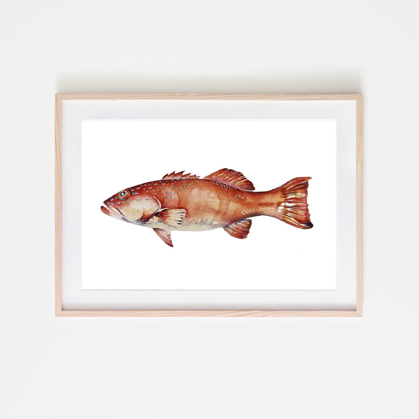 Coral Trout