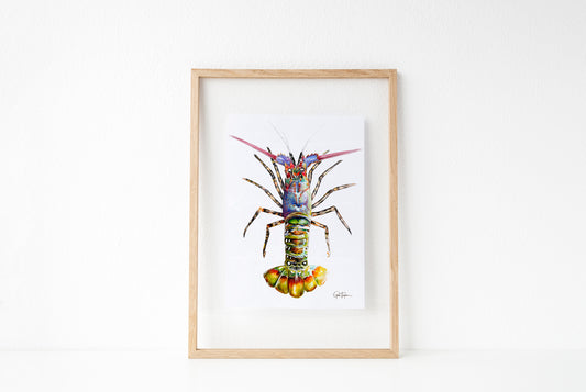 Painted Crayfish