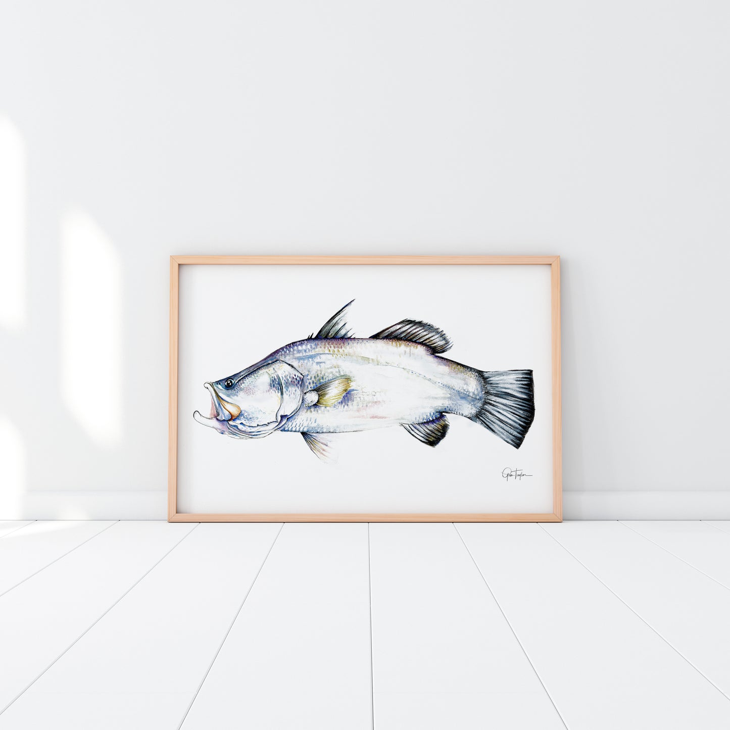 Silver Barra