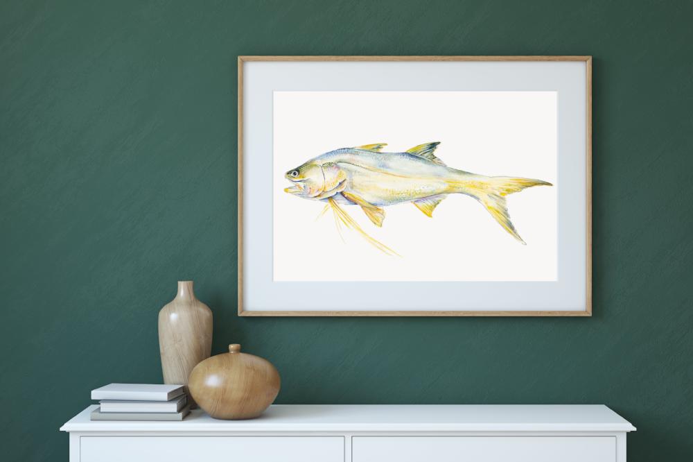 Threadfin Salmon