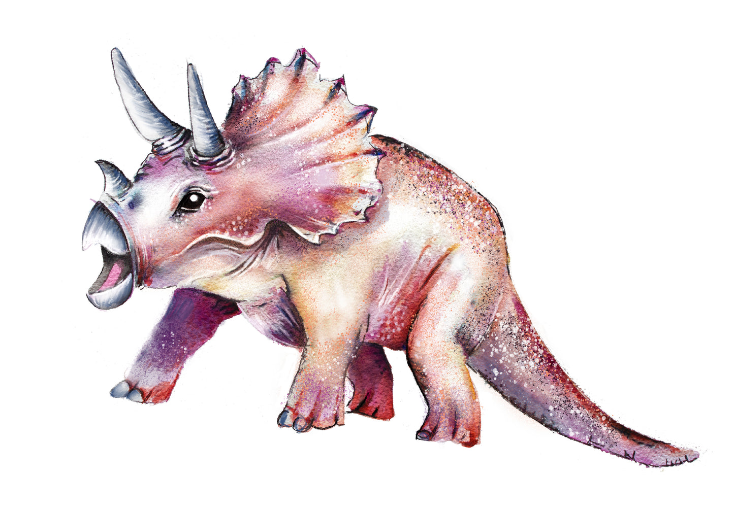 Triceratops