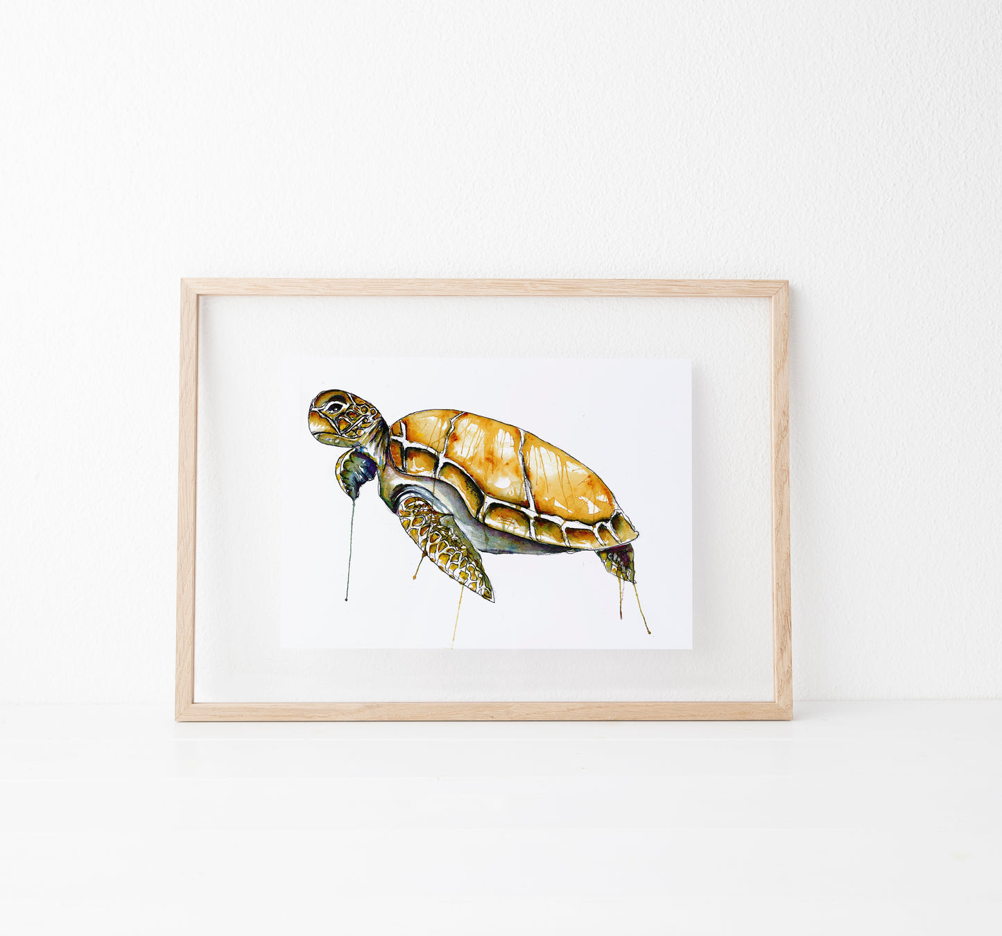 Hey Little Turtle
