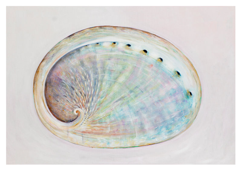 Abalone Shell