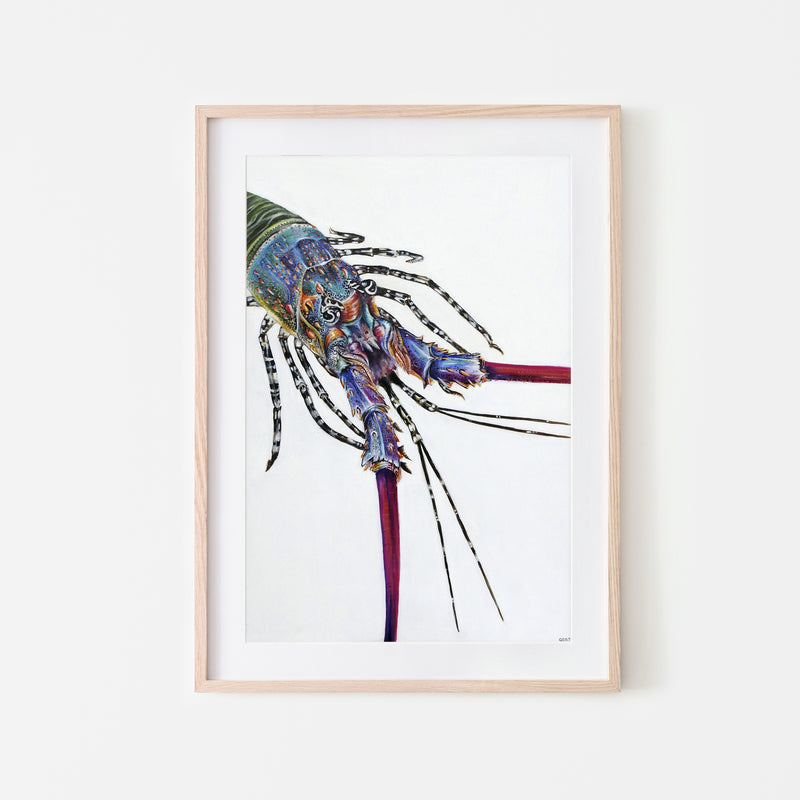 The Painted Crayfish (limited edition print)