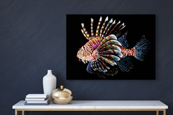 Lionfish (Limited Edition Print 1/25)