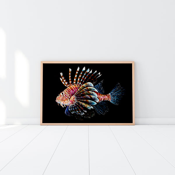 Lionfish (Limited Edition Print 1/25)