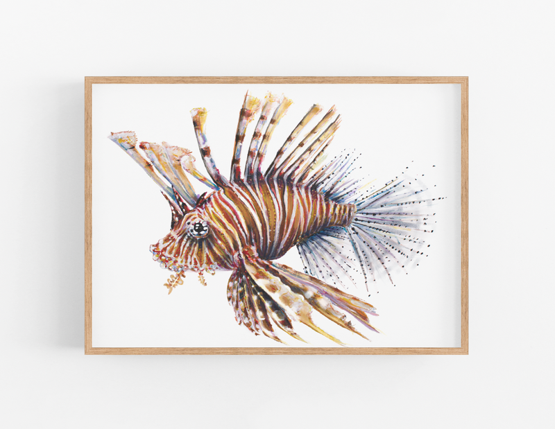 The Lionfish