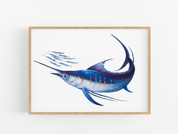 Blue Marlin