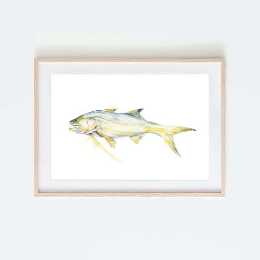 Threadfin Salmon