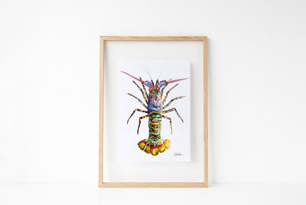 Painted Crayfish