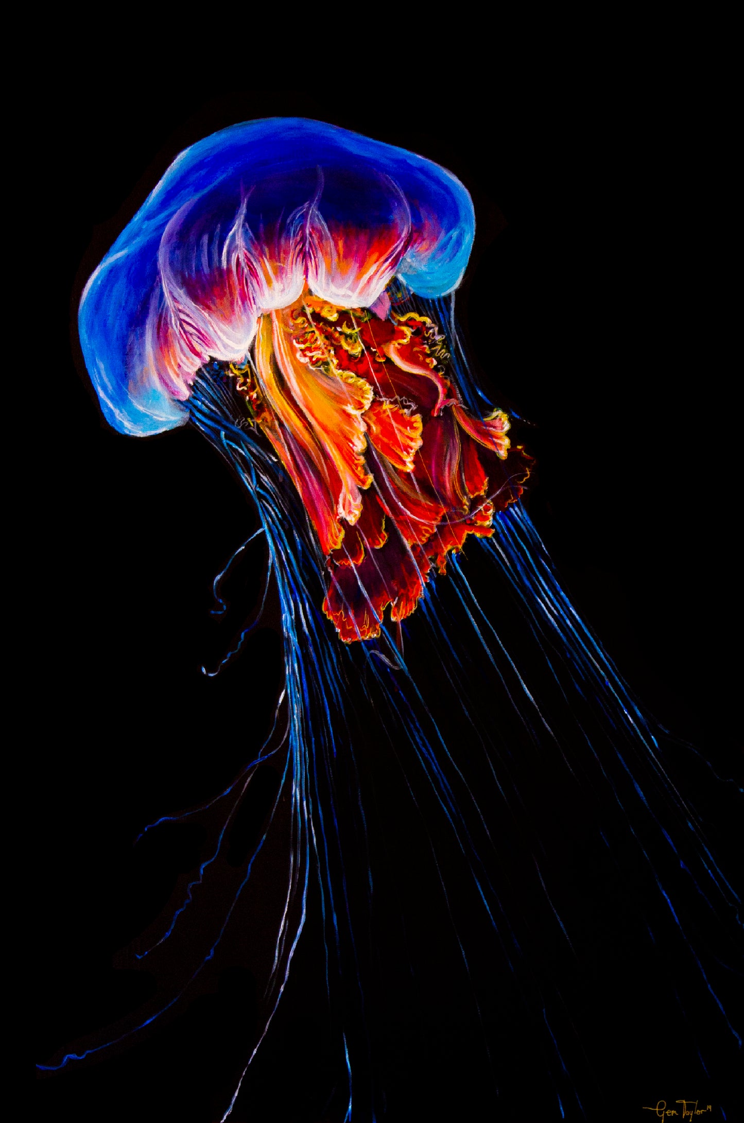 Jellyfish (1/25 Limited Edition)